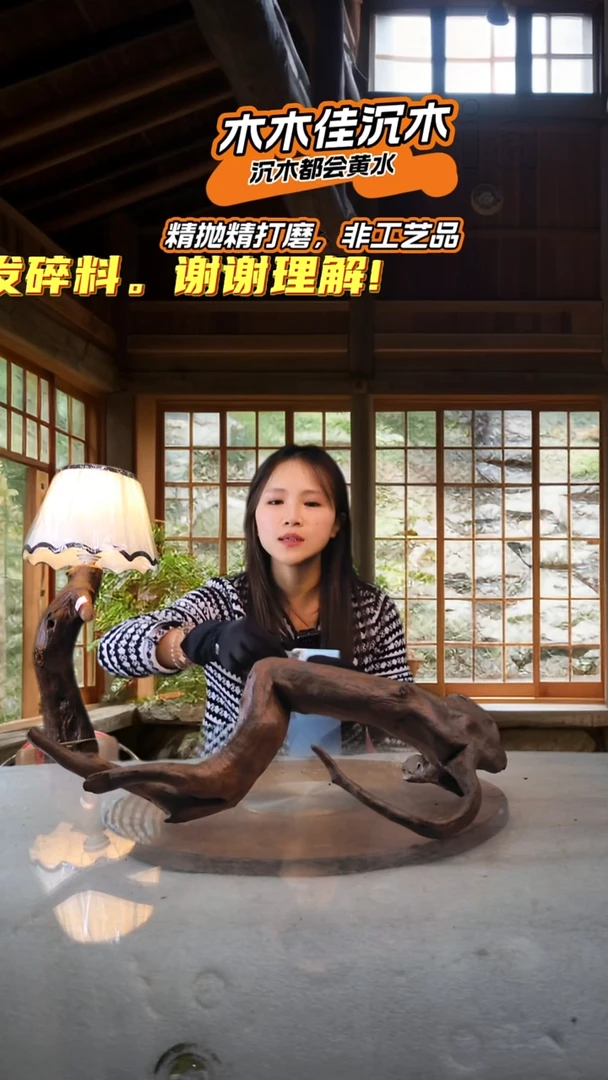 随**…木木佳沉木鱼缸造景906