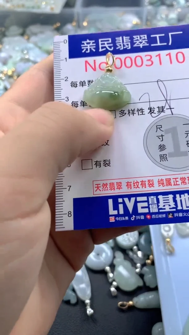 颈饰未镶嵌翡翠3110