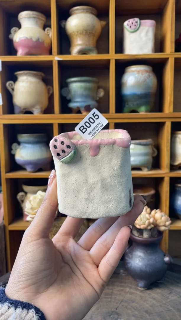 005【多肉花盆多肉盆】