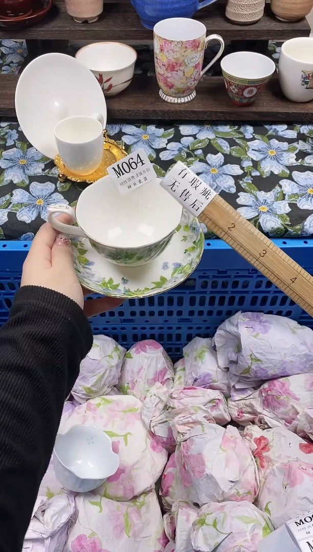 瓷片小***鱼            M064