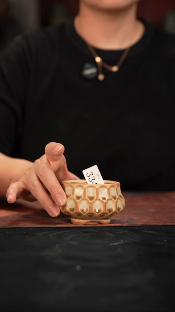 6-14-334花盆口径6