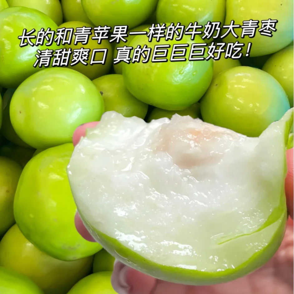 【福建牛奶枣】梨子的甜+苹果的香还有淡淡的牛奶味道    500g左右