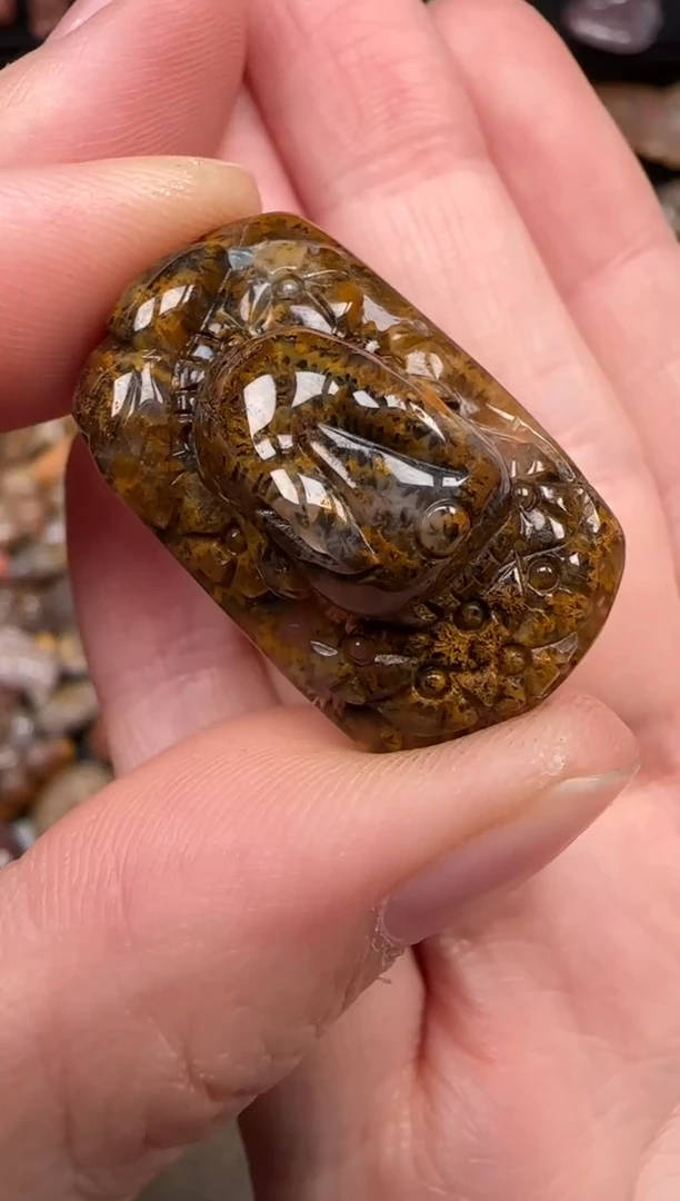 硅化珊瑚（珊瑚玉）未镶嵌颈饰389