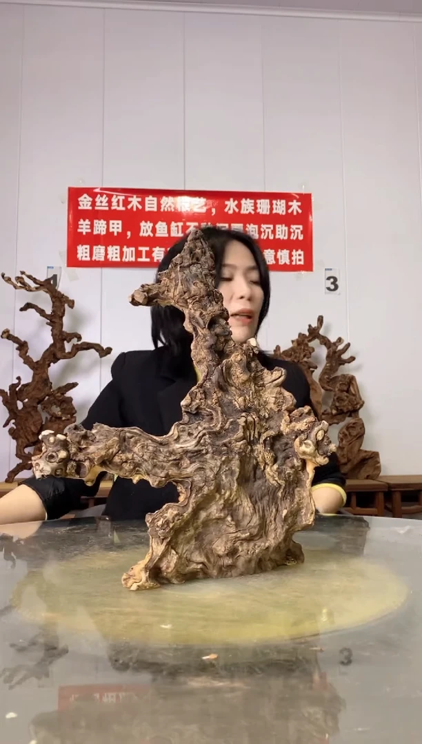 【闪购商品】木29金丝红木 羊蹄甲