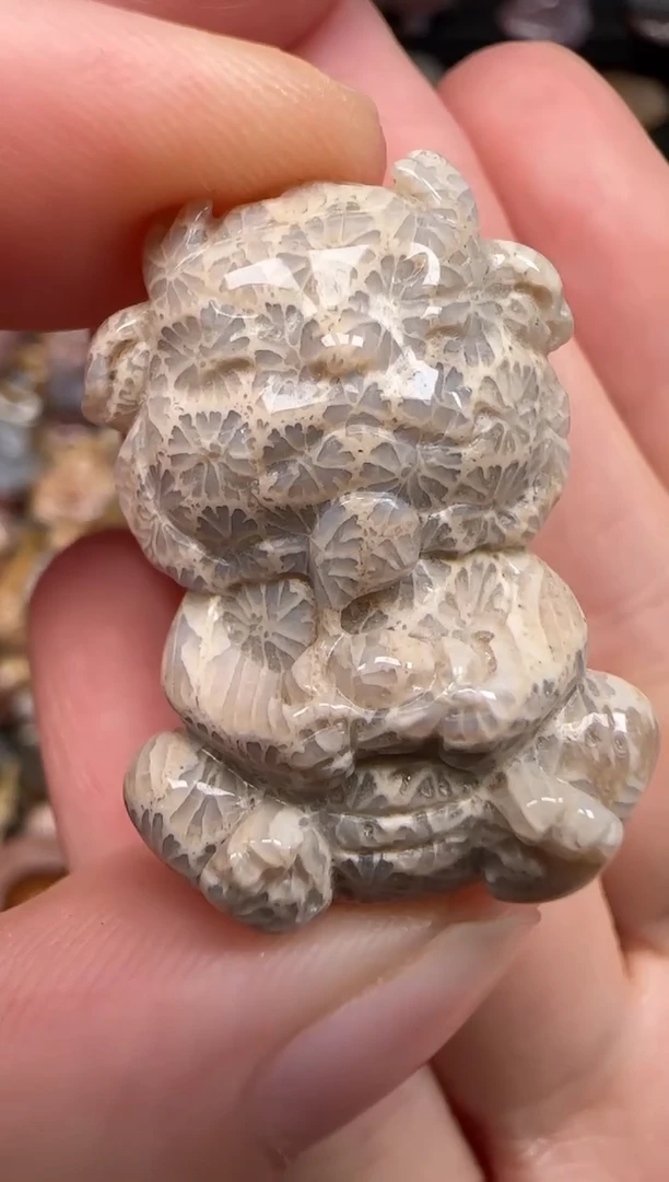 硅化珊瑚（珊瑚玉）未镶嵌颈饰702