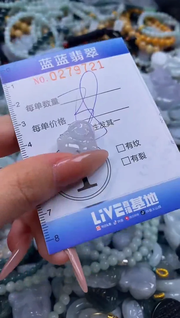 翡翠未镶嵌颈饰闪购0279721