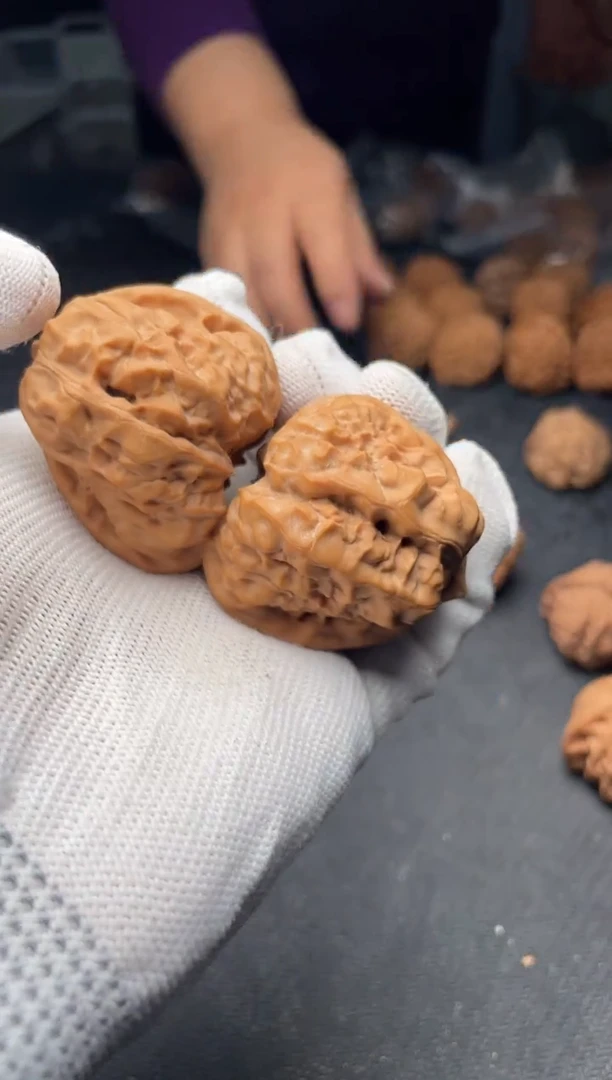 核桃a214   蛤蟆头 40尺