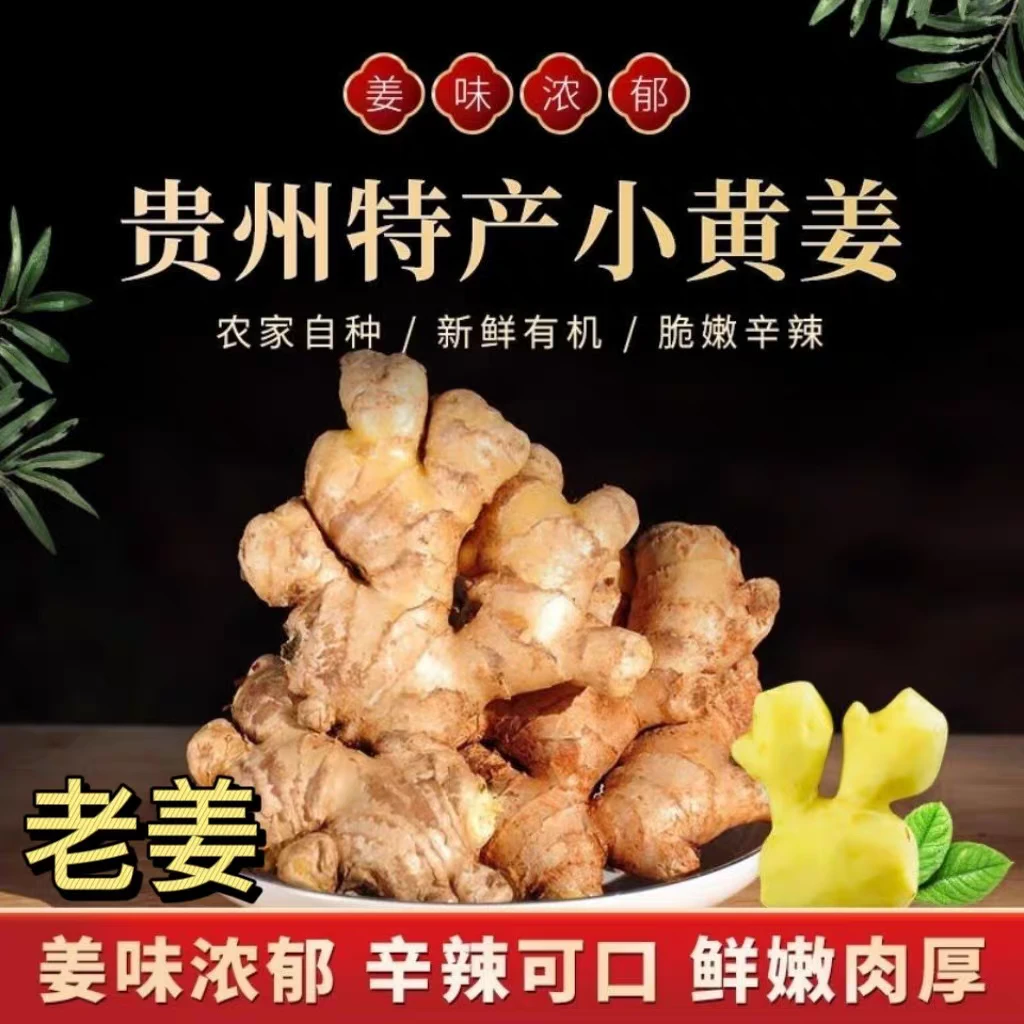 云顶鲜锋贵州高山小黄姜老姜生姜新鲜黄姜土姜现挖子鲜姜嫩姜包邮