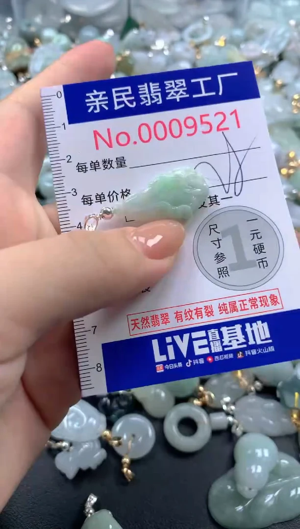 颈饰未镶嵌翡翠9521