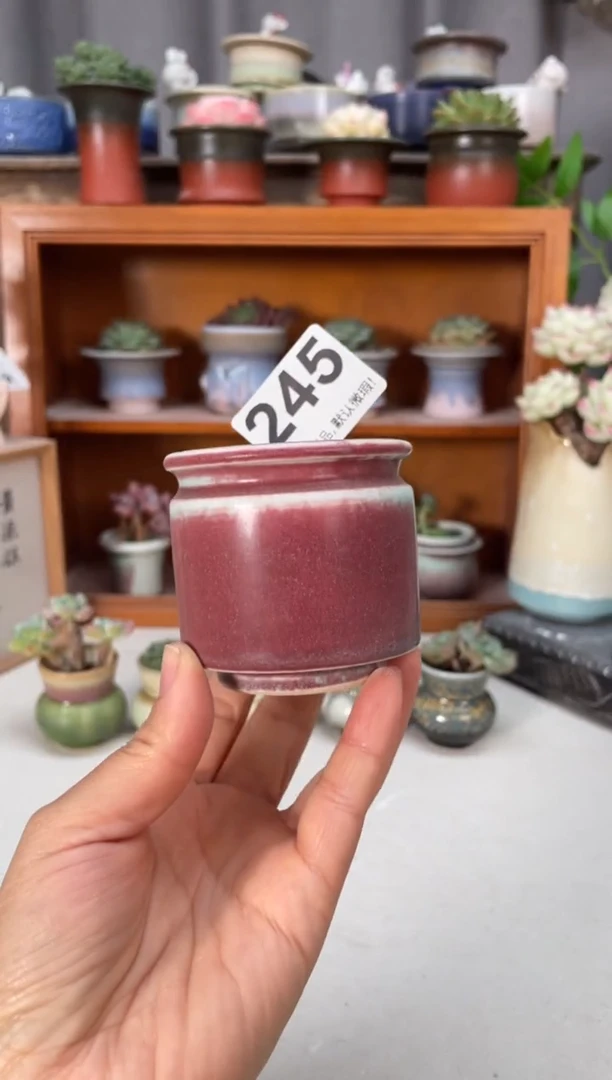 瓷片245知木小芳花盆编号