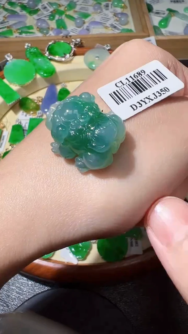 【闪购商品】翡翠颈饰未镶嵌我