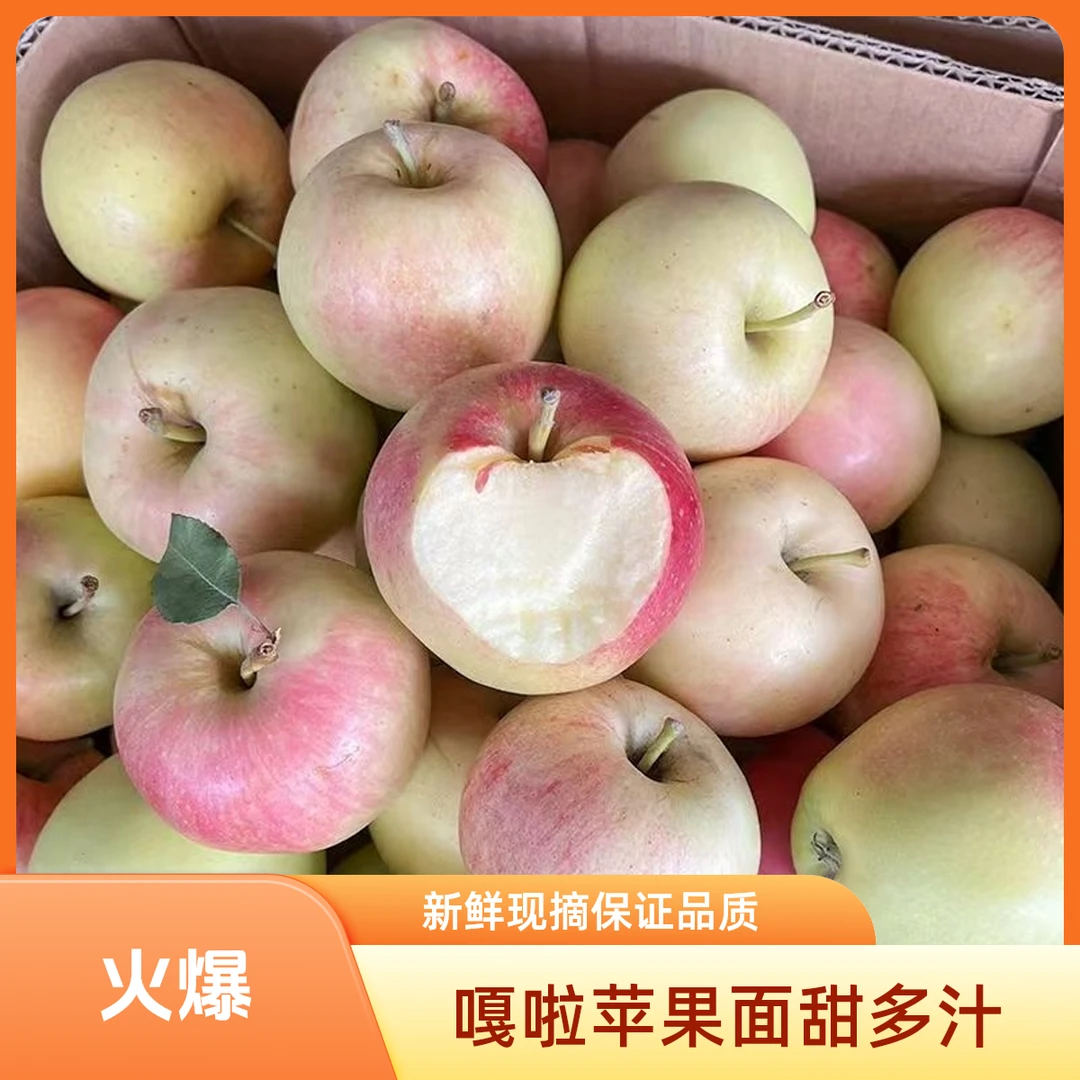 XJ2新鲜现摘面甜多汁嘎啦苹果果园直发孕妇解馋水果
