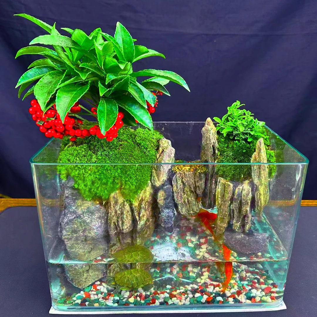 【春节福利】---富贵籽微景观生态造景青龙石桌面流水景观