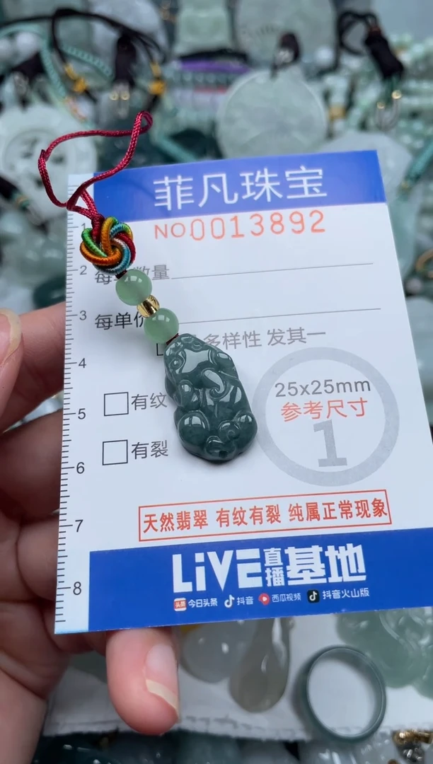 颈饰未镶嵌翡翠13892