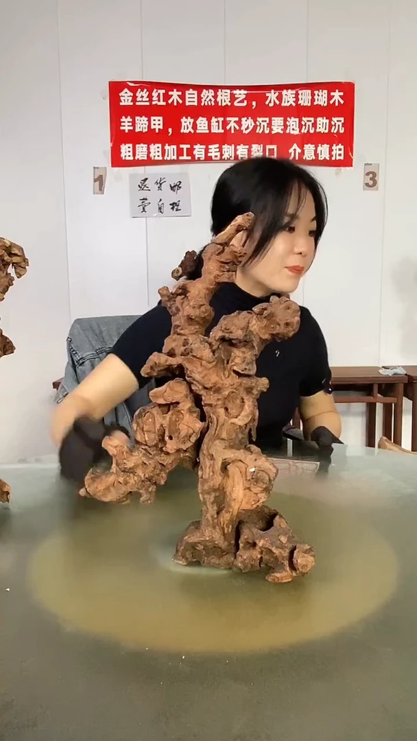 木旭*哥金丝红木 羊蹄甲