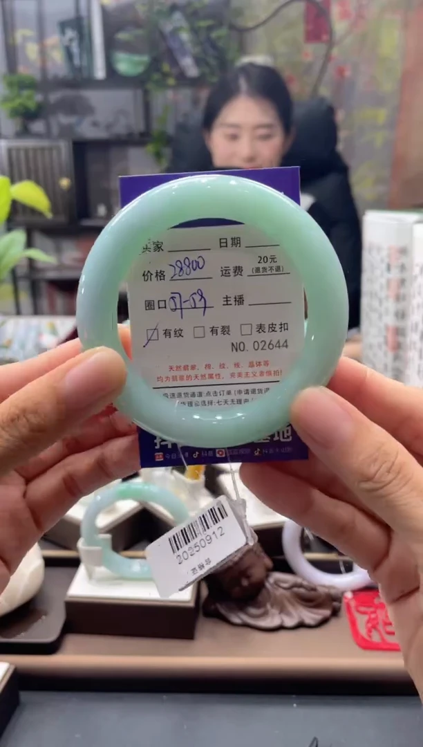 未镶嵌手镯翡翠2644****