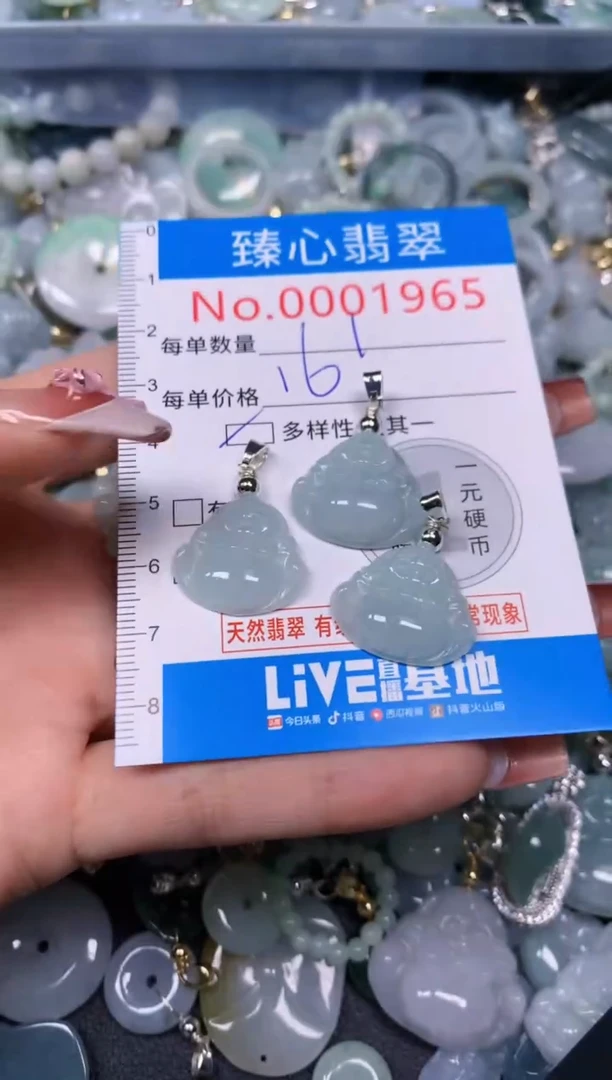 【闪购商品】翡翠颈饰未镶嵌多样性发其一1965