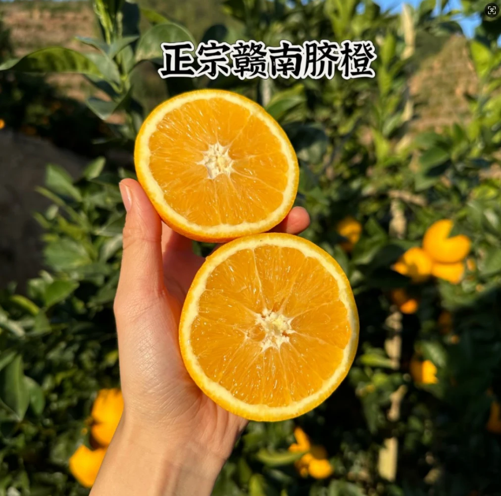 正宗江西赣南脐橙新鲜现摘果肉饱满自然成熟当季水果
