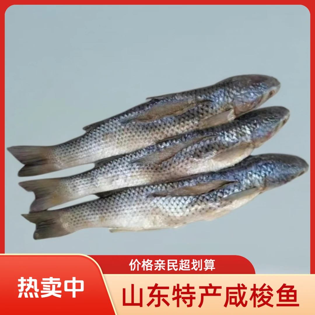 山东特产 新货梭鱼咸香海梭鱼半干咸鱼5斤装梭鱼红眼鱼