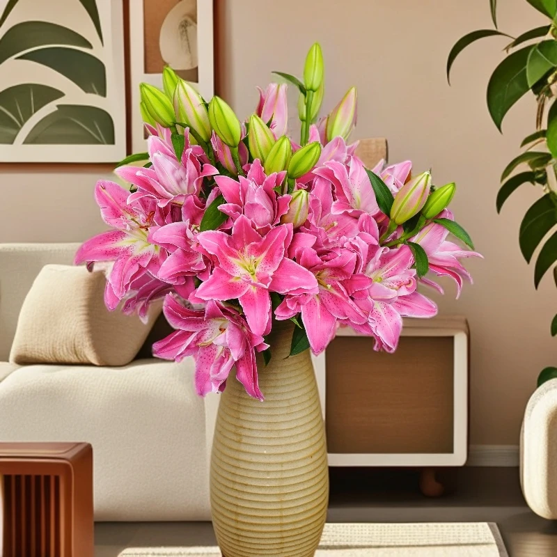 云南木木花卉 紫莲 重瓣百合花 雅致淡香型水养鲜切瓶插鲜花