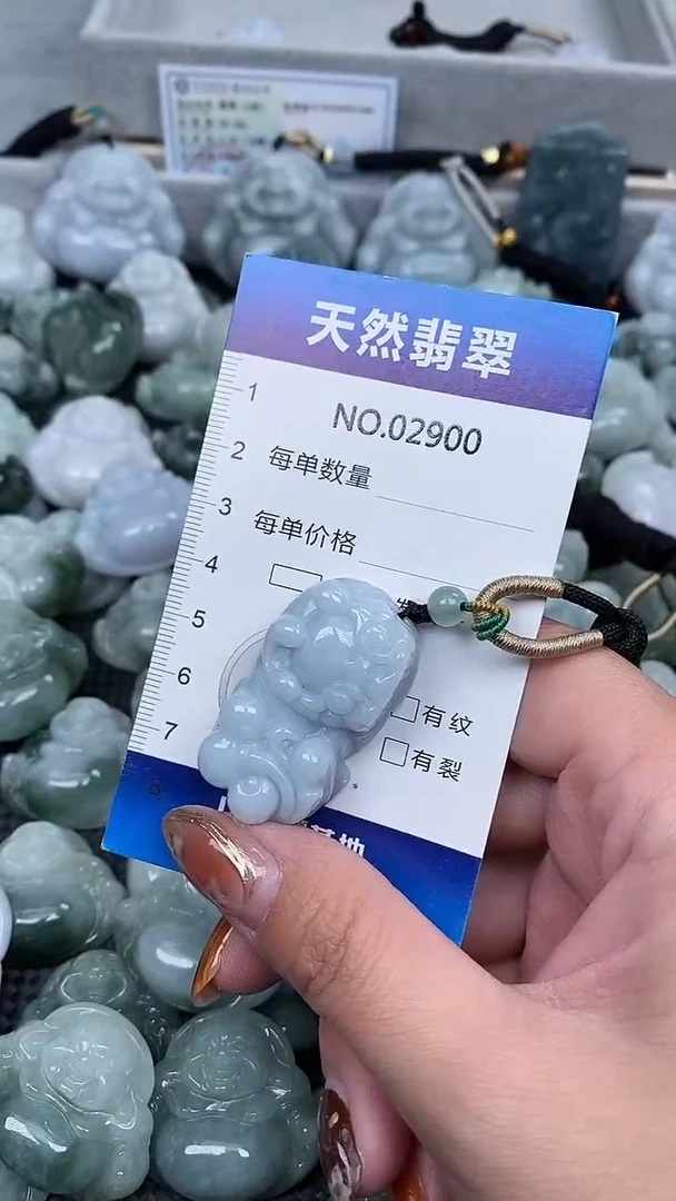 颈饰未镶嵌翡翠纯天然A货翡翠2900