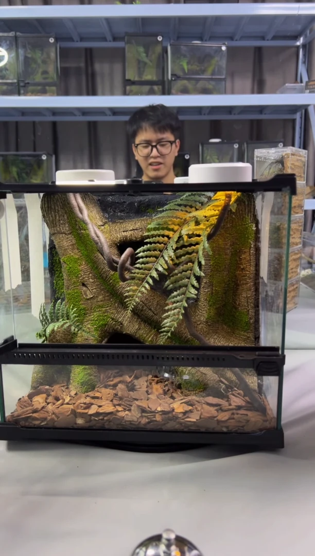 玻璃【长30宽25高27】爬宠造景缸睫角守宫树栖蜘蛛饲养箱爬宠爬虫缸