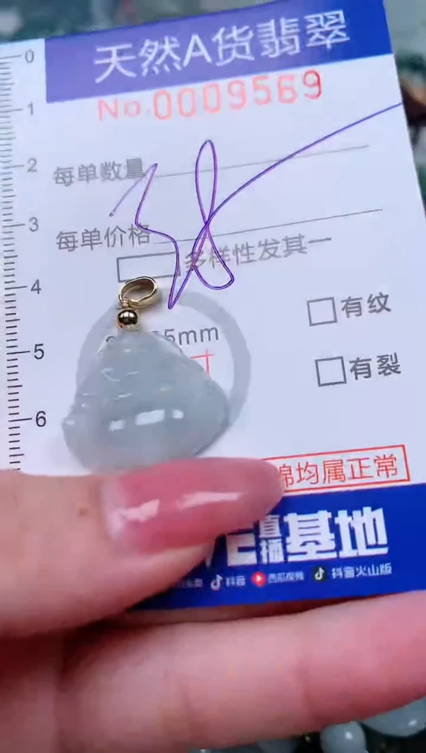 【闪购商品】翡翠颈饰未镶嵌00009569