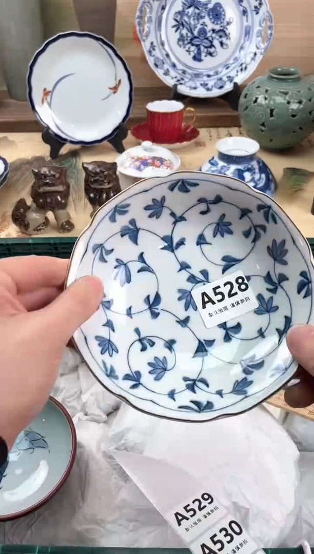 瓷片林*528