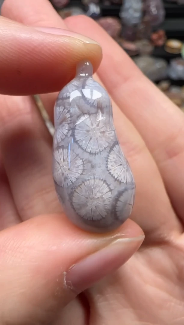 颈饰未镶嵌硅化珊瑚（珊瑚玉）823