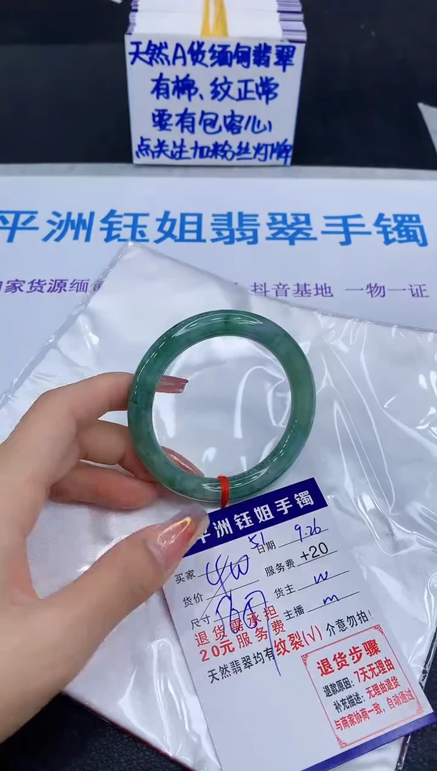 未镶嵌手镯翡翠11111