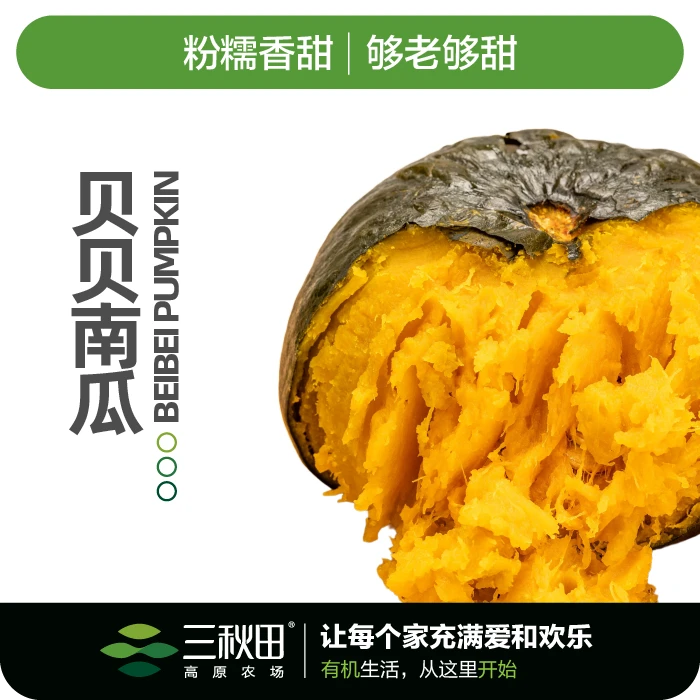 贝贝南瓜礼盒 6个装