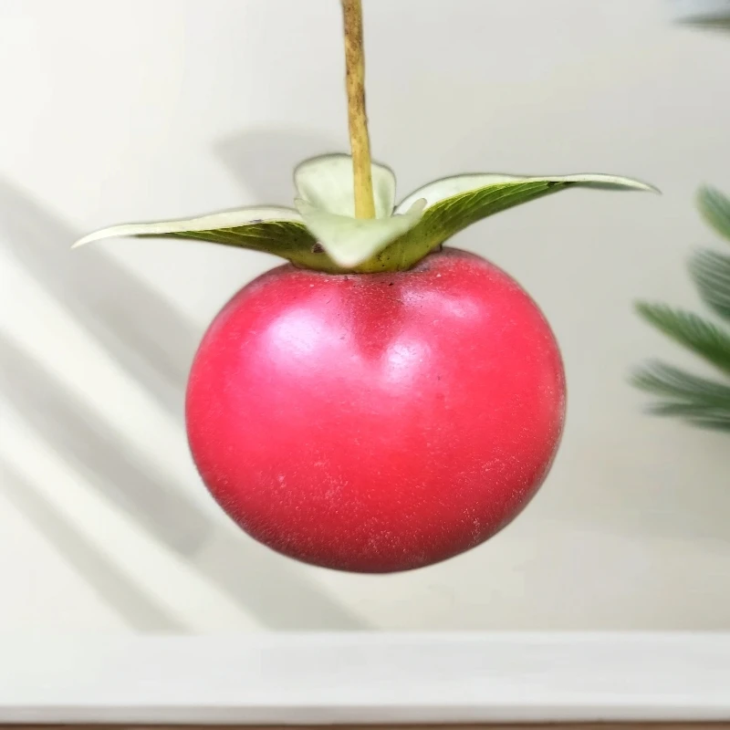 金弹子盆栽红色欣赏果