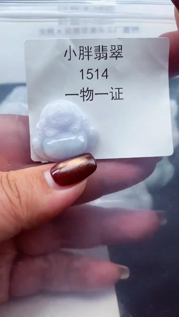 颈饰未镶嵌翡翠缅甸天然A货翡翠1514