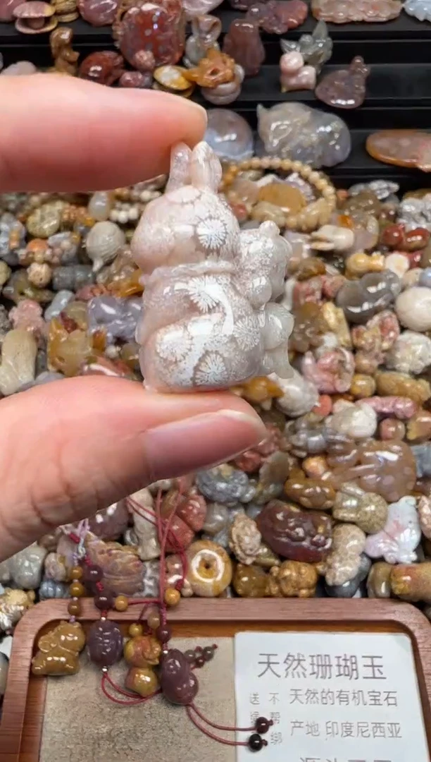 硅化珊瑚（珊瑚玉）未镶嵌颈饰185