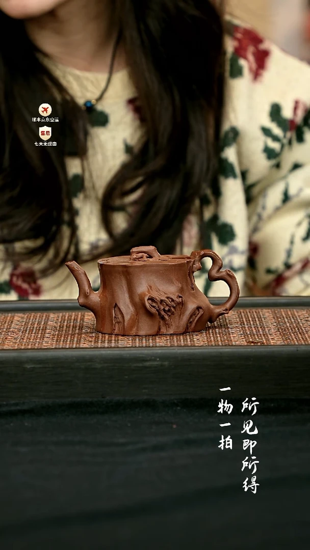 茶壶紫砂全手松桩壶 一物见春