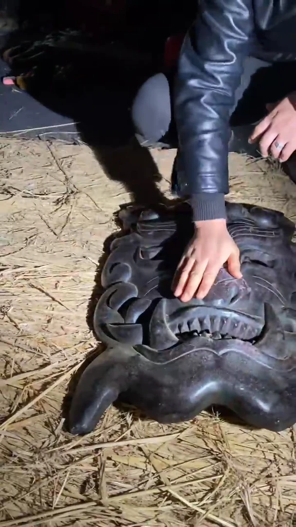 鼎****媒11111111111111111