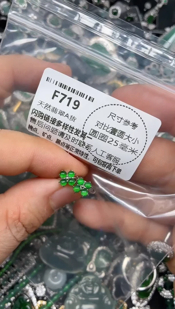 颈饰未镶嵌翡翠F719耳扣