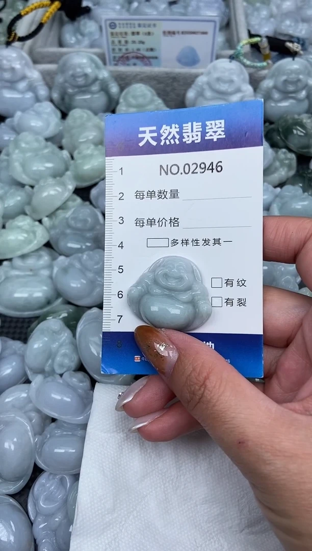 颈饰未镶嵌翡翠纯天然A货翡翠2946