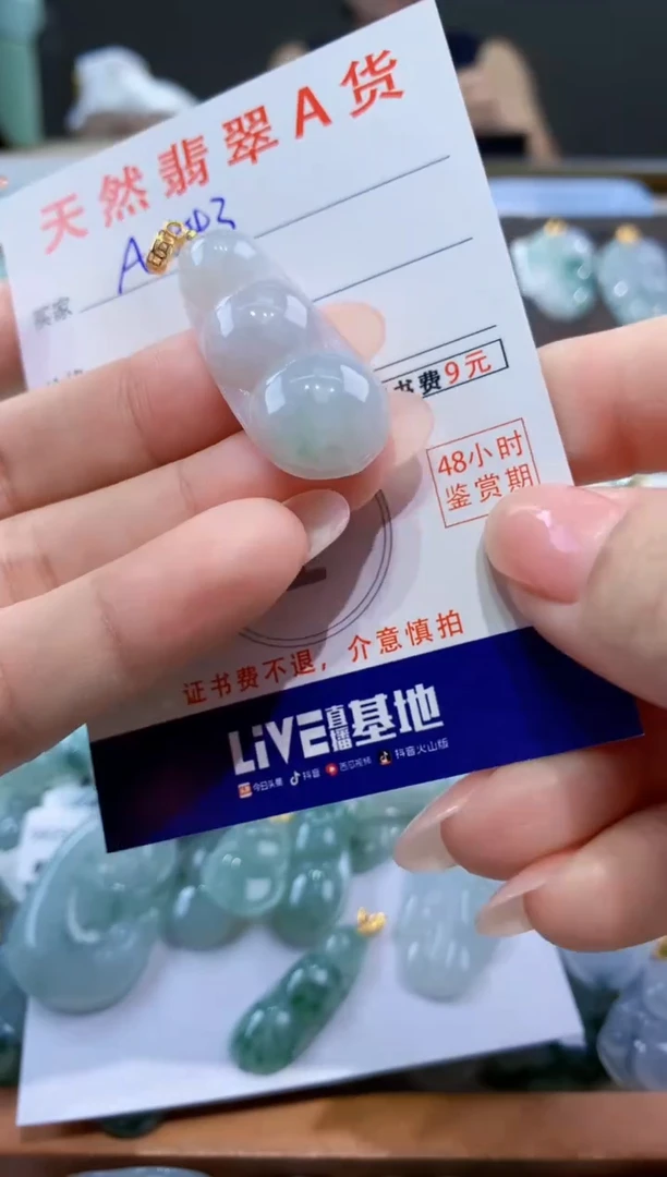 颈饰未镶嵌翡翠天然翡翠A货挂件