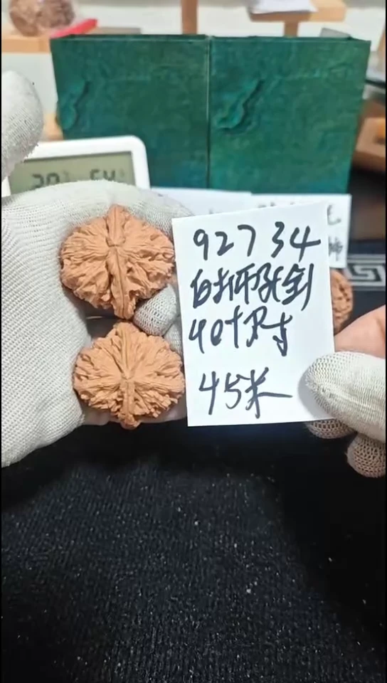 把件文玩核桃白狮子全品