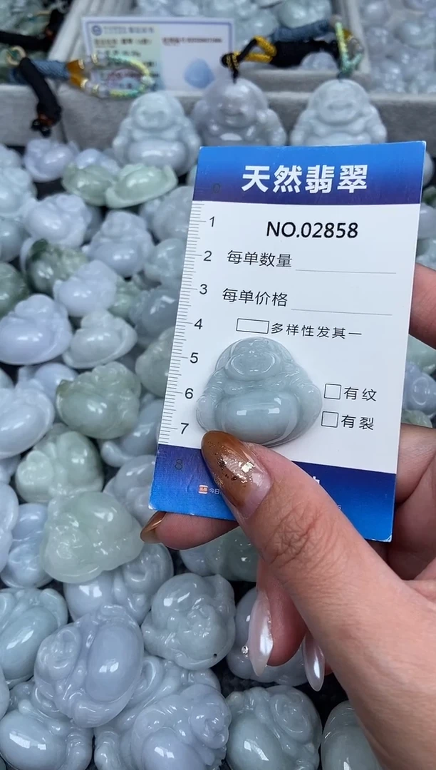 颈饰未镶嵌翡翠纯天然A货翡翠2858