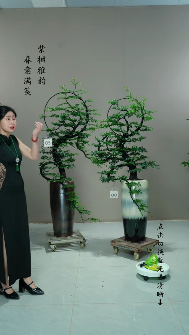 无花朵茶**二05号链接