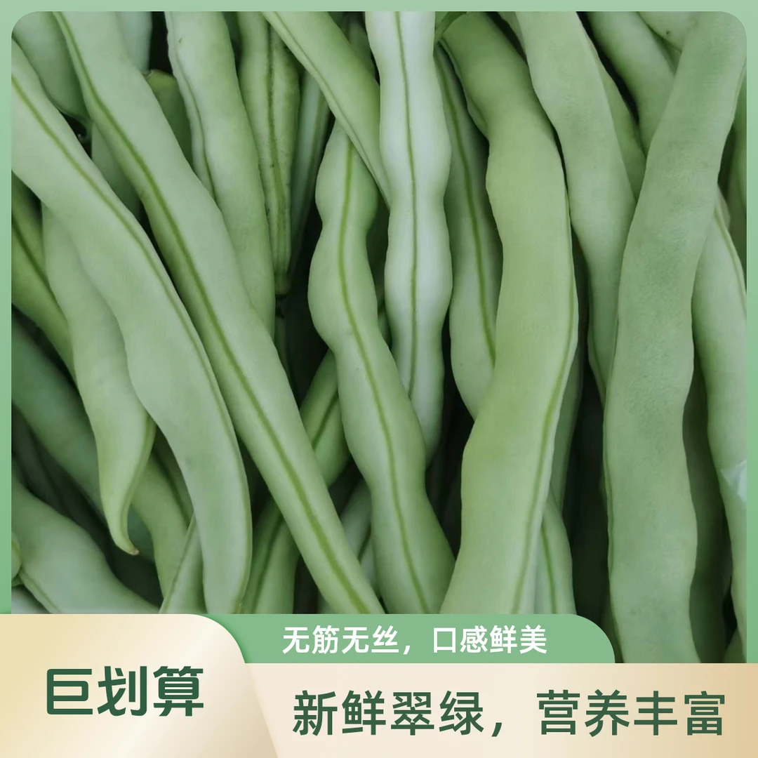 |绿控标准|白不老豆角 3斤、450g现采现装当季蔬菜豆角同城送绿色蔬菜