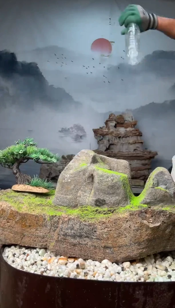 直播一物一拍链接