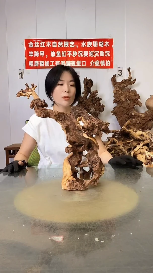 香榧木金丝红木  羊蹄甲