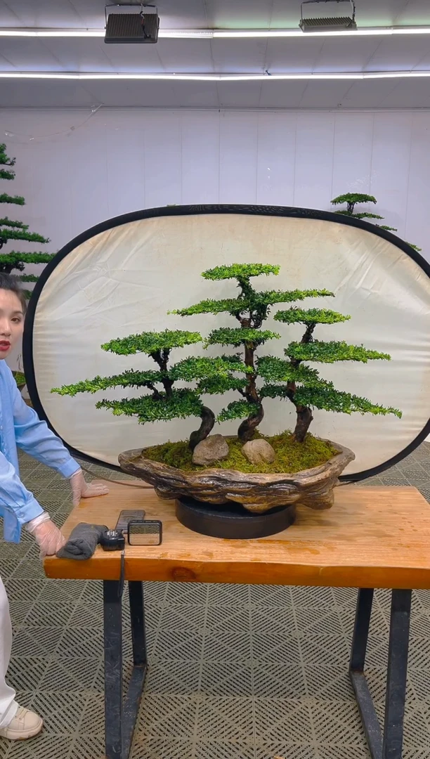 无花朵一物一拍一物一拍