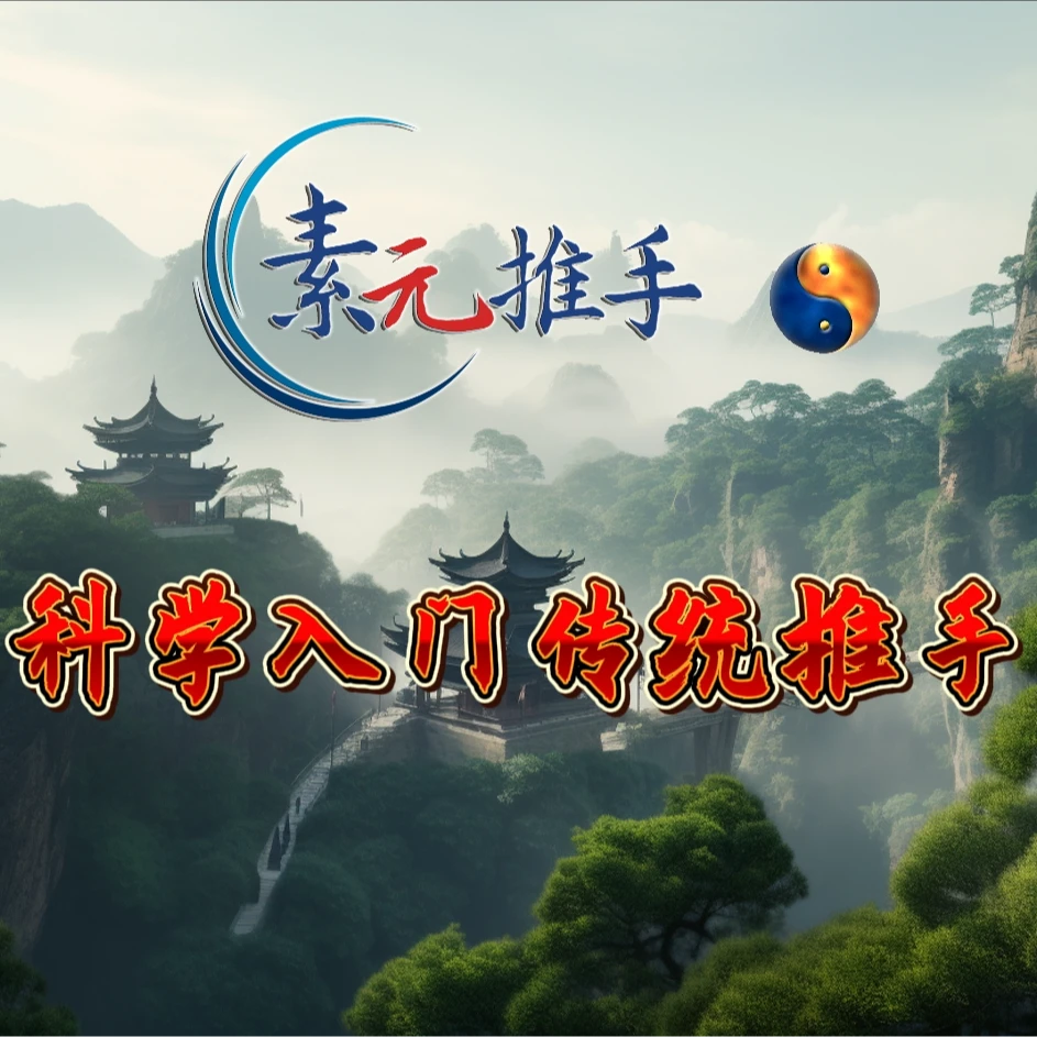 科学实战入门传统武术推手