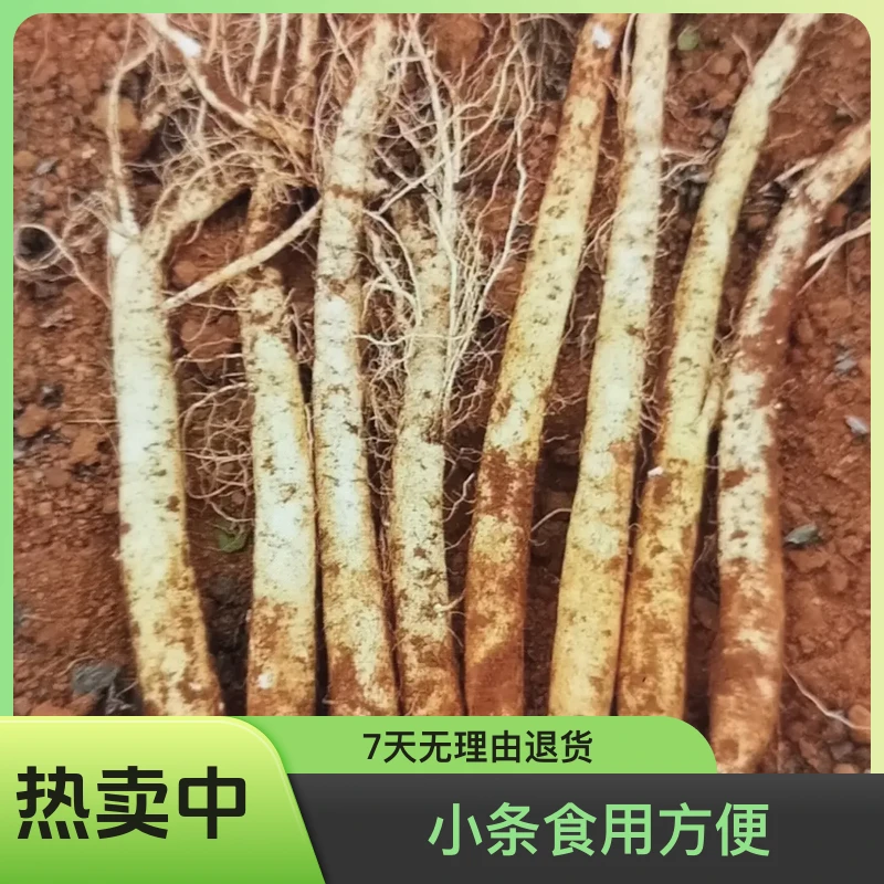 党参产地直发（小条食用煲汤佳品）