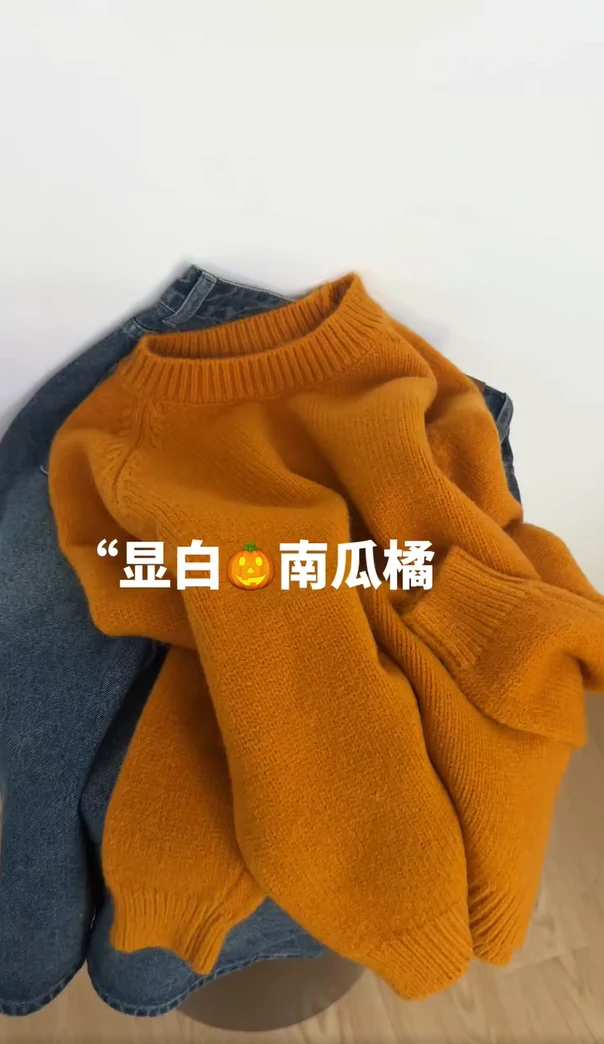 2025新毛衣女秋冬韩系小众别致上衣宽松慵懒百搭软糯慵懒针织衫厚