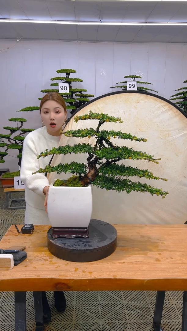 无花朵一物一拍一物一拍